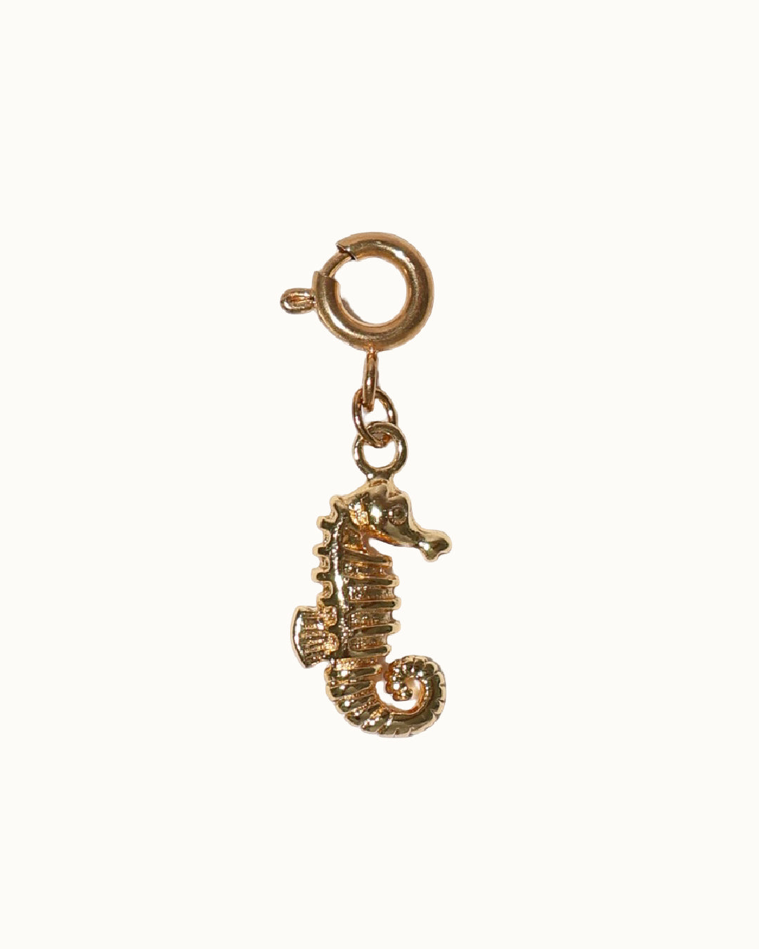 SEA HORSE CHARM