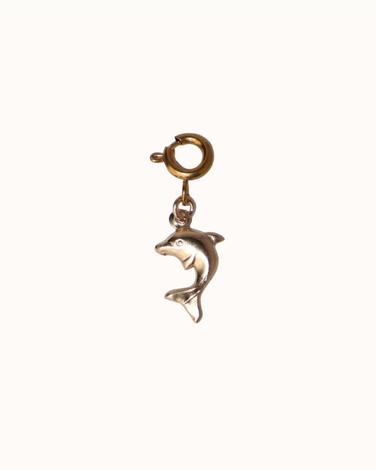 DOLPHIN CHARM
