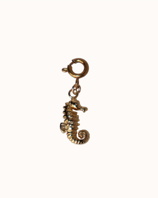 SEA HORSE CHARM