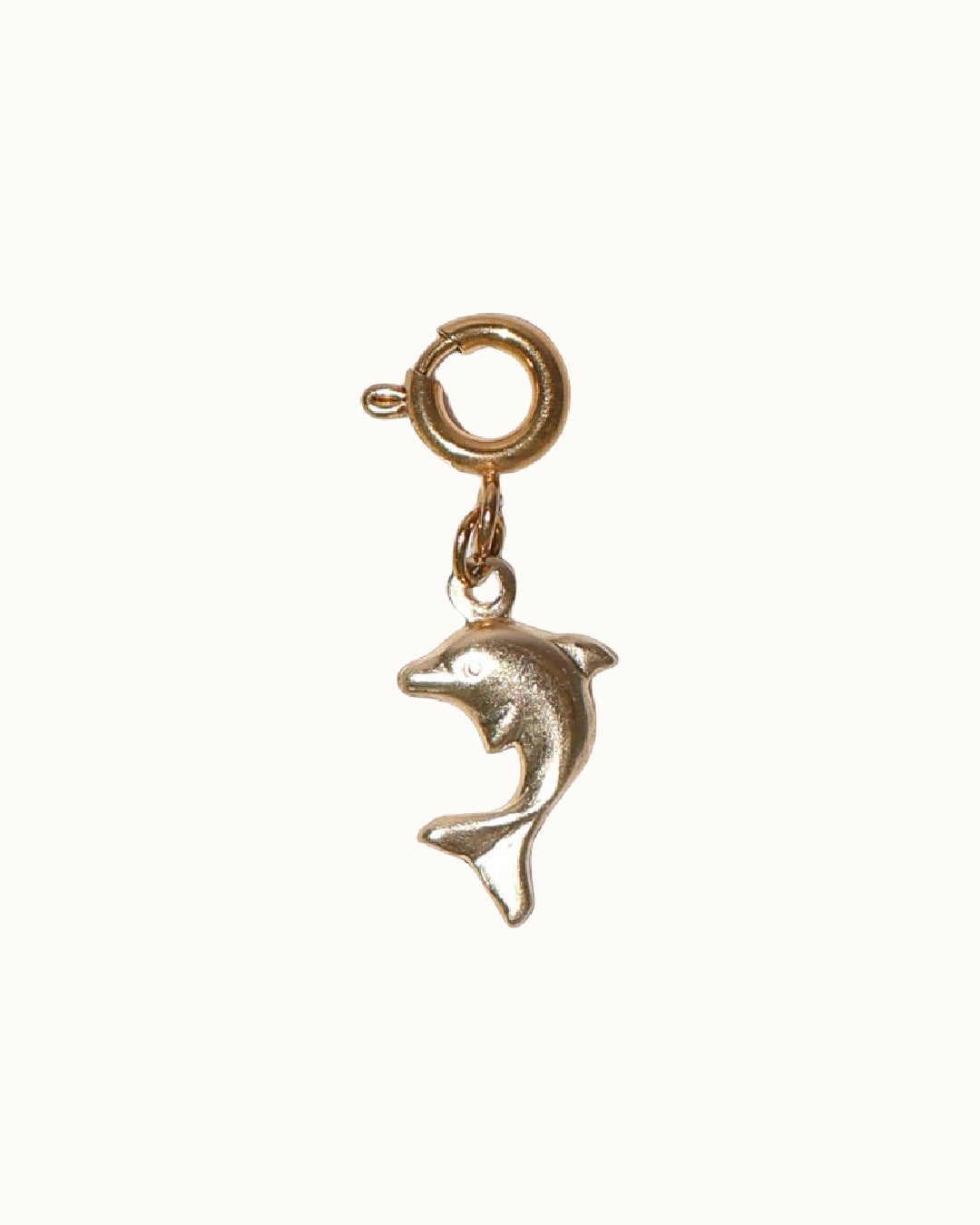 DOLPHIN CHARM