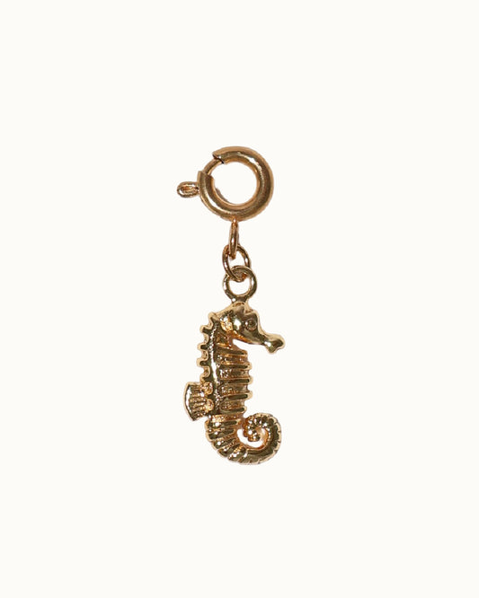 SEA HORSE CHARM